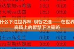 用什么下注世界杯-明智之选——在世界杯赛场上的智慧下注策略