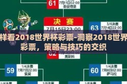 怎样看2018世界杯彩票-洞察2018世界杯彩票，策略与技巧的交织