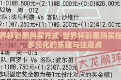 世界杯彩票购买方式-世界杯彩票购买指南，多元化的乐趣与注意点