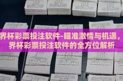 世界杯彩票投注软件-瞄准激情与机遇，世界杯彩票投注软件的全方位解析