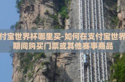 支付宝世界杯哪里买-如何在支付宝世界杯期间购买门票或其他赛事商品