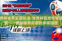 世界杯体育彩票玩法-世界杯狂欢与智慧决策——揭秘体育彩票的多样玩法