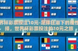 世界杯彩票投注10元-足球狂潮下的理性选择，世界杯彩票投注的10元之旅