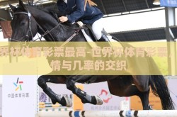 世界杯体育彩票最高-世界杯体育彩票，激情与几率的交织