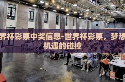 世界杯彩票中奖信息-世界杯彩票，梦想与机遇的碰撞