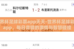 世界杯足球彩票app天天-世界杯足球彩票app，每日竞猜的激情与智慧碰撞