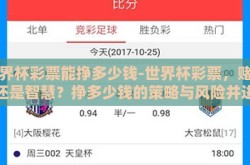世界杯彩票能挣多少钱-世界杯彩票，赌局还是智慧？挣多少钱的策略与风险并进