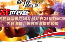 世界杯彩票投注258-跃动在258注码中的世界杯激情，理性与激情的较量
