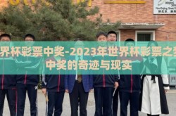 世界杯彩票中奖-2023年世界杯彩票之梦，中奖的奇迹与现实