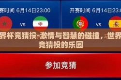 世界杯竞猜投-激情与智慧的碰撞，世界杯竞猜投的乐园
