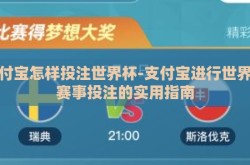 支付宝怎样投注世界杯-支付宝进行世界杯赛事投注的实用指南