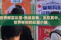 看世界杯买彩票-挑战自我，乐在其中，看世界杯时的彩票小趣