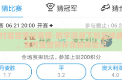 支付宝世界杯竞猜-数字浪潮下的足球盛宴，支付宝世界杯竞猜体验记