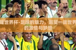 想赌世界杯-足球的魅力，渴望一战世界杯的激情与梦想