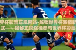 世界杯彩票正规网站-解锁世界杯激情新方式——揭秘正规途径参与世界杯彩票