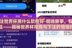 下注世界杯用什么软件好-精选赛事，智慧押注——揭秘世界杯观赛与下注的绝佳伴侣软件