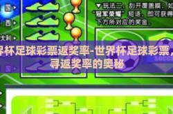 世界杯足球彩票返奖率-世界杯足球彩票，探寻返奖率的奥秘