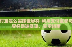 支付宝怎么买球世界杯-利用支付宝参与世界杯足球赛事，实用指南