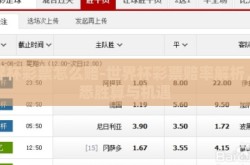 世界杯彩票怎么赔-世界杯彩票赔率解析，洞悉胜算与机遇