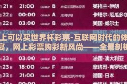 网上可以买世界杯彩票-互联网时代的体育盛宴，网上彩票购彩新风尚——全景剖析世界杯彩票线上购买体验
