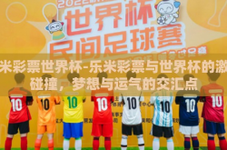 乐米彩票世界杯-乐米彩票与世界杯的激情碰撞，梦想与运气的交汇点