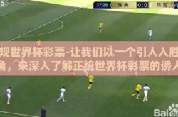 正规世界杯彩票-让我们以一个引人入胜的视角，来深入了解正统世界杯彩票的诱人魅力与背后规则