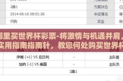 在哪里买世界杯彩票-将激情与机遇并肩，一份实用指南指南针，教您何处购买世界杯彩票