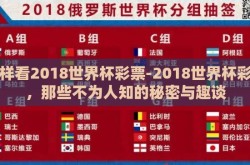 怎样看2018世界杯彩票-2018世界杯彩票，那些不为人知的秘密与趣谈