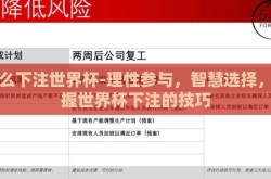 怎么下注世界杯-理性参与，智慧选择，掌握世界杯下注的技巧