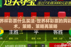 世界杯彩票什么买法-世界杯彩票的购彩艺术，策略、策略再策略