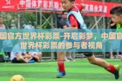 中国官方世界杯彩票-开启彩梦，中国官方世界杯彩票的参与者视角