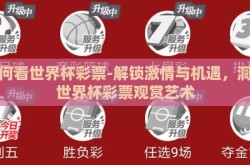 如何看世界杯彩票-解锁激情与机遇，洞悉世界杯彩票观赏艺术