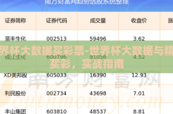 世界杯大数据买彩票-世界杯大数据与精准买彩，实战指南