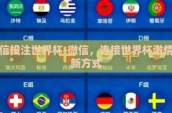 微信投注世界杯-微信，连接世界杯激情的新方式