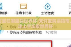 支付宝在哪里买世界杯-支付宝购票指南，快速上手观看世界杯