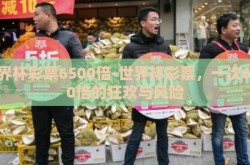 世界杯彩票6500倍-世界杯彩票，一次6500倍的狂欢与风险