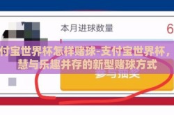 支付宝世界杯怎样赌球-支付宝世界杯，智慧与乐趣并存的新型赌球方式