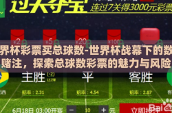 世界杯彩票买总球数-世界杯战幕下的数字赌注，探索总球数彩票的魅力与风险
