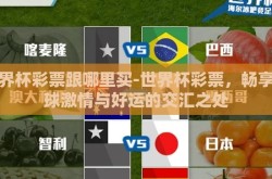 世界杯彩票跟哪里买-世界杯彩票，畅享足球激情与好运的交汇之处