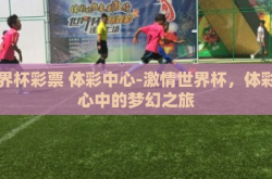 世界杯彩票 体彩中心-激情世界杯，体彩中心中的梦幻之旅