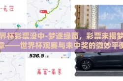 世界杯彩票没中-梦逐绿茵，彩票未揭梦之章——世界杯观赛与未中奖的微妙平衡