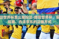 微信世界杯怎么赌投注-微信世界杯，安全观赛、合法享乐的正确方式