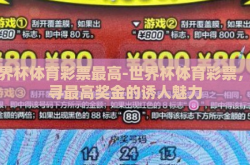 世界杯体育彩票最高-世界杯体育彩票，探寻最高奖金的诱人魅力