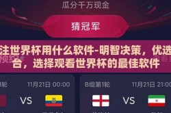 下注世界杯用什么软件-明智决策，优选平台，选择观看世界杯的最佳软件