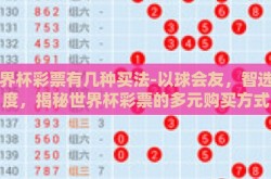 世界杯彩票有几种买法-以球会友，智选角度，揭秘世界杯彩票的多元购买方式