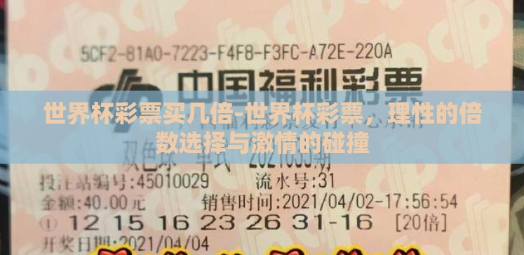 世界杯彩票买几倍-世界杯彩票,理性的倍数选择与激情的碰撞 世界杯彩票买几倍-世界杯彩票,理性的倍数选择与激情的碰撞