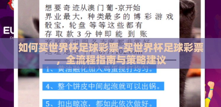 如何买世界杯足球彩票-买世界杯足球彩票,全流程指南与策略建议 如何买世界杯足球彩票-买世界杯足球彩票,全流程指南与策略建议