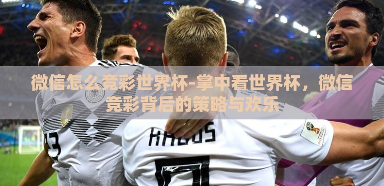 微信怎么竞彩世界杯-掌中看世界杯，微信竞彩背后的策略与欢乐