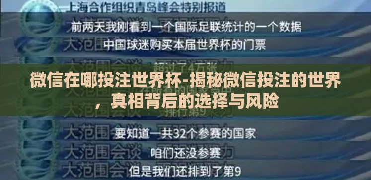 微信在哪投注世界杯-揭秘微信投注的世界，真相背后的选择与风险