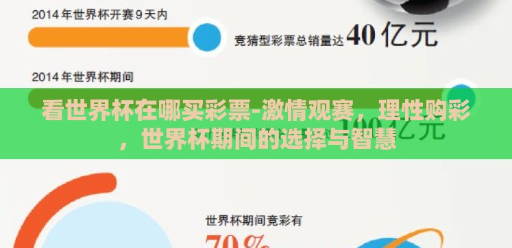 看世界杯在哪买彩票-激情观赛，理性购彩，世界杯期间的选择与智慧